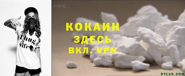 сатива Беломорск