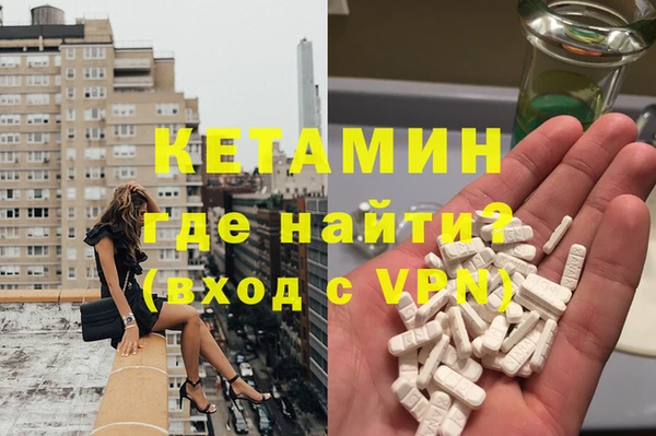 сатива Беломорск