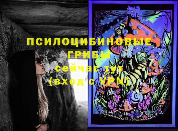 a pvp Белокуриха