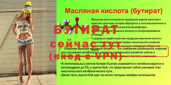 сатива Беломорск