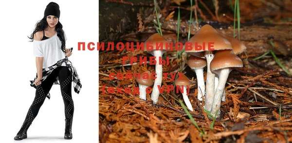a pvp Белокуриха