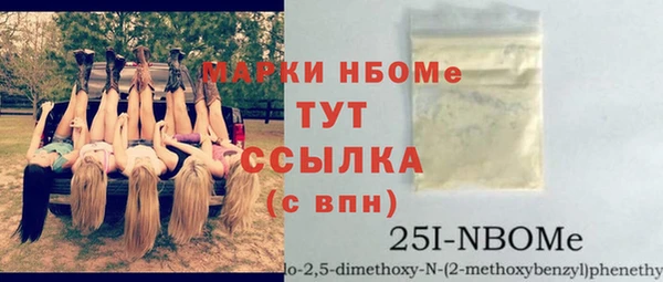 сатива Беломорск