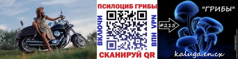 kraken как войти  наркотики  Саранск  Галлюциногенные грибы ЛСД 
